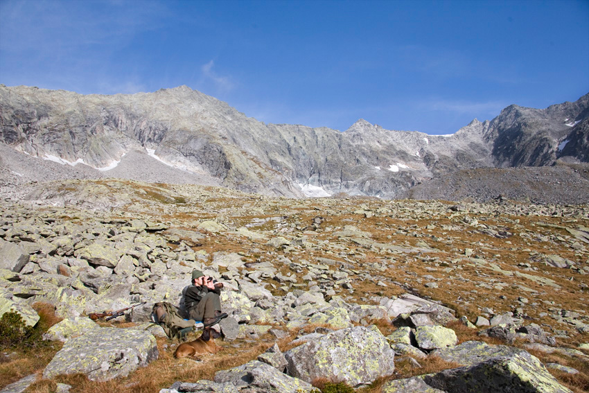 alex fischer, fotograf, darmstadt, ahrntal, sd tirol, jaeger, revier, berge, fernglas, gewehr, hund